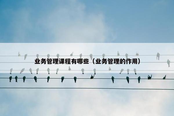 业务管理课程有哪些（业务管理的作用）