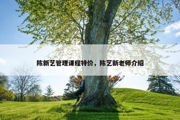 陈新艺管理课程特价，陈艺新老师介绍