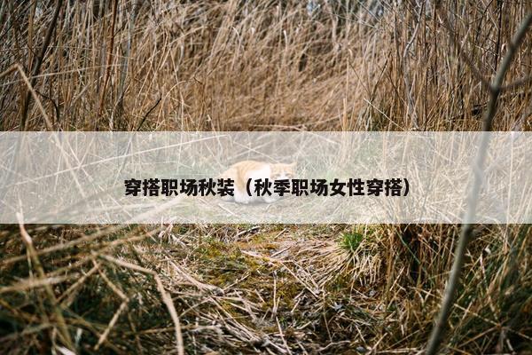 穿搭职场秋装（秋季职场女性穿搭）
