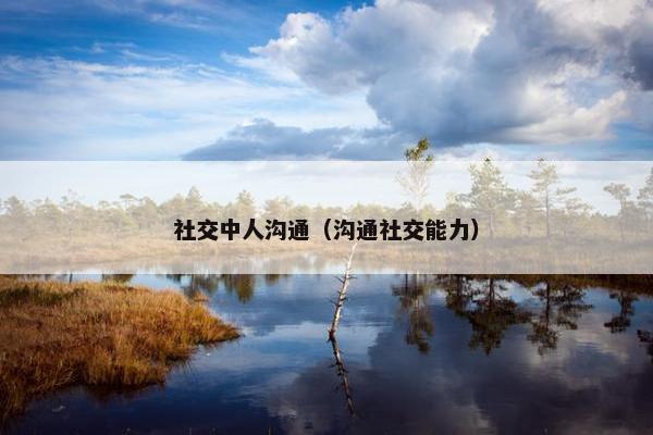 社交中人沟通（沟通社交能力）