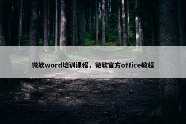 微软word培训课程，微软官方office教程