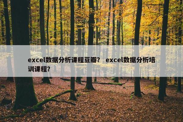excel数据分析课程豆瓣？ excel数据分析培训课程？
