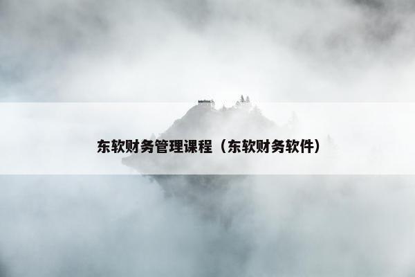 东软财务管理课程（东软财务软件）