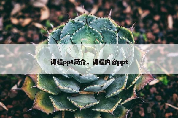 课程ppt简介，课程内容ppt