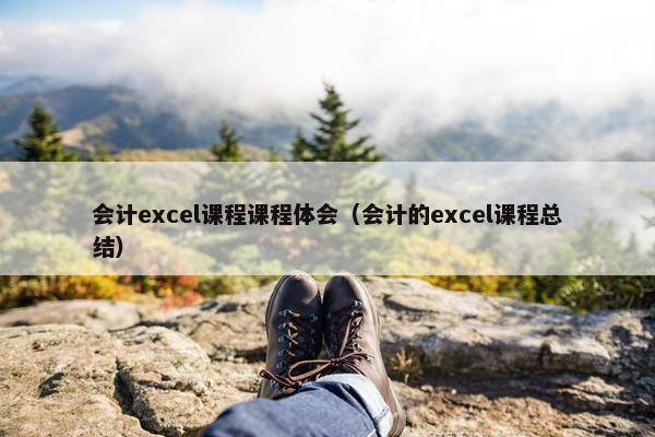 会计excel课程课程体会（会计的excel课程总结）