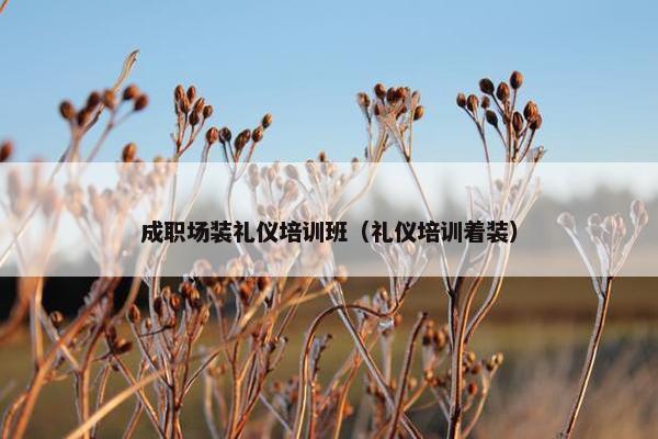 成职场装礼仪培训班（礼仪培训着装）