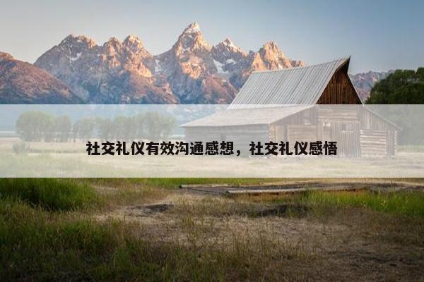 社交礼仪有效沟通感想，社交礼仪感悟