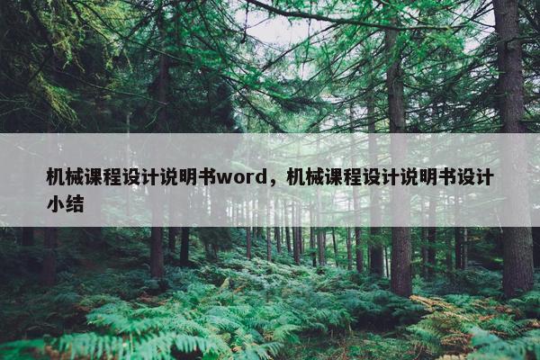 机械课程设计说明书word，机械课程设计说明书设计小结