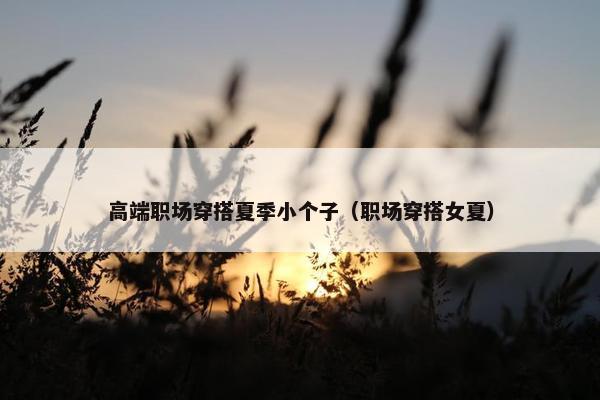 高端职场穿搭夏季小个子（职场穿搭女夏）