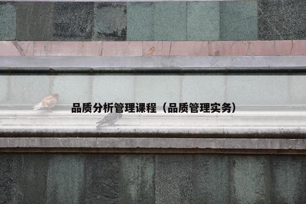 品质分析管理课程（品质管理实务）