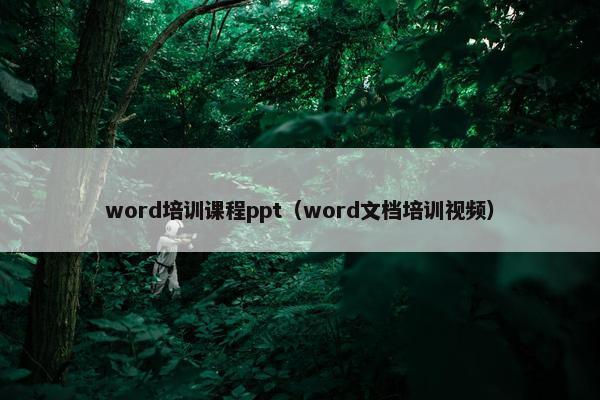 word培训课程ppt（word文档培训视频）