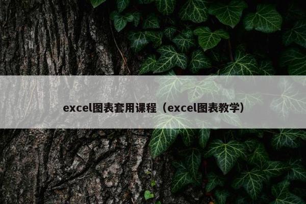 excel图表套用课程（excel图表教学）