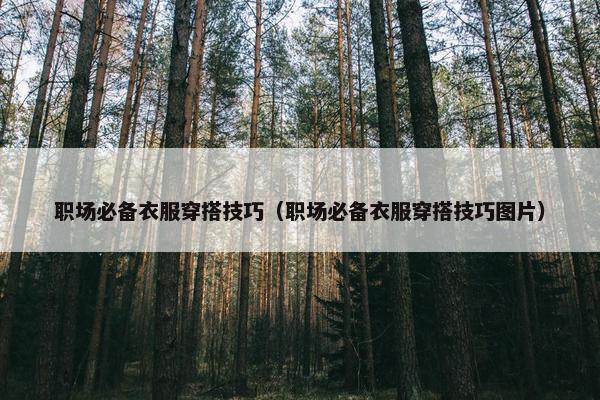 职场必备衣服穿搭技巧（职场必备衣服穿搭技巧图片）