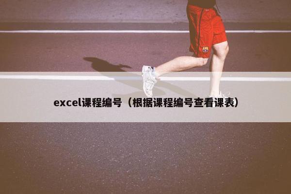 excel课程编号（根据课程编号查看课表）