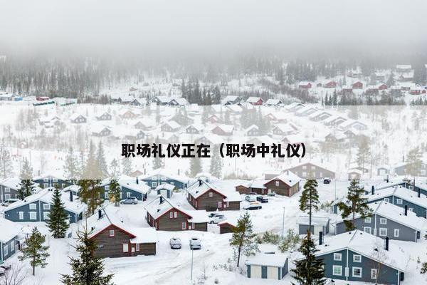 职场礼仪正在（职场中礼仪）