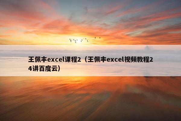 王佩丰excel课程2（王佩丰excel视频教程24讲百度云）