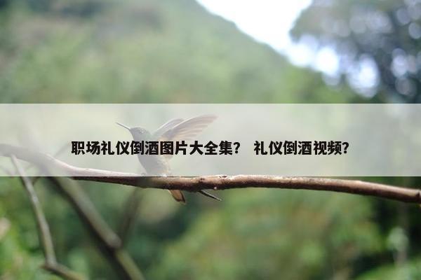 职场礼仪倒酒图片大全集？ 礼仪倒酒视频？