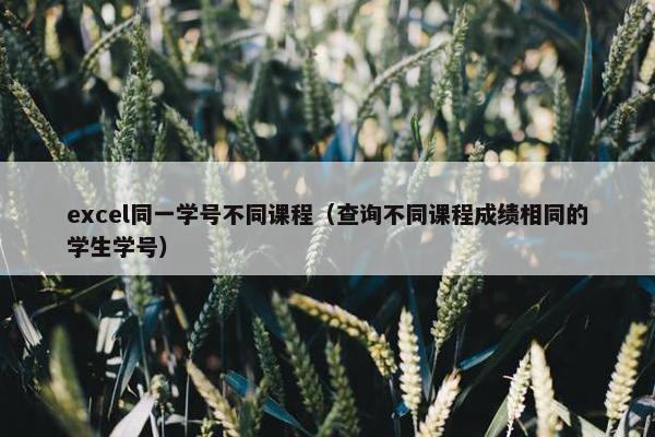 excel同一学号不同课程（查询不同课程成绩相同的学生学号）
