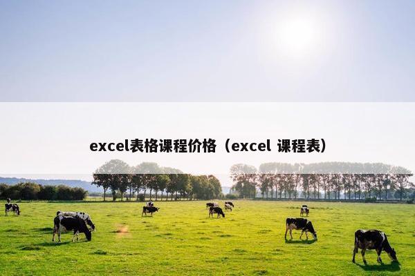 excel表格课程价格（excel 课程表）