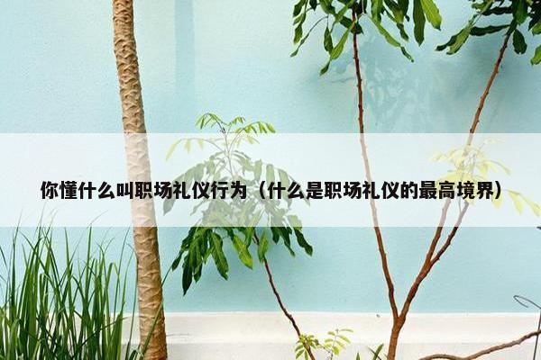 你懂什么叫职场礼仪行为（什么是职场礼仪的最高境界）