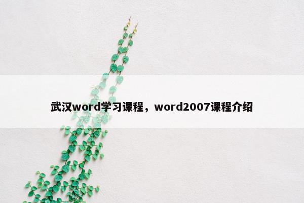 武汉word学习课程，word2007课程介绍