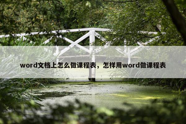 word文档上怎么做课程表，怎样用word做课程表