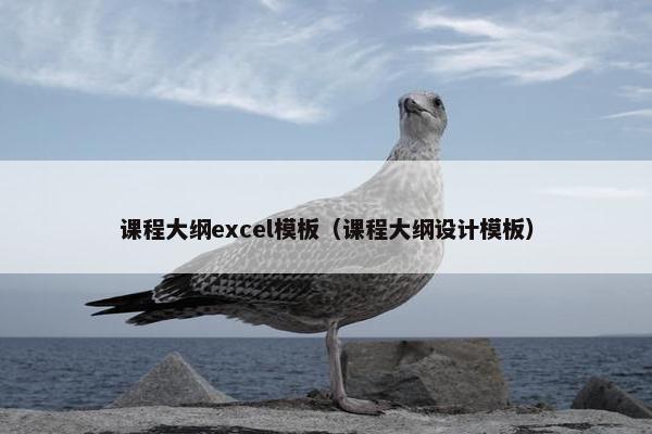 课程大纲excel模板（课程大纲设计模板）